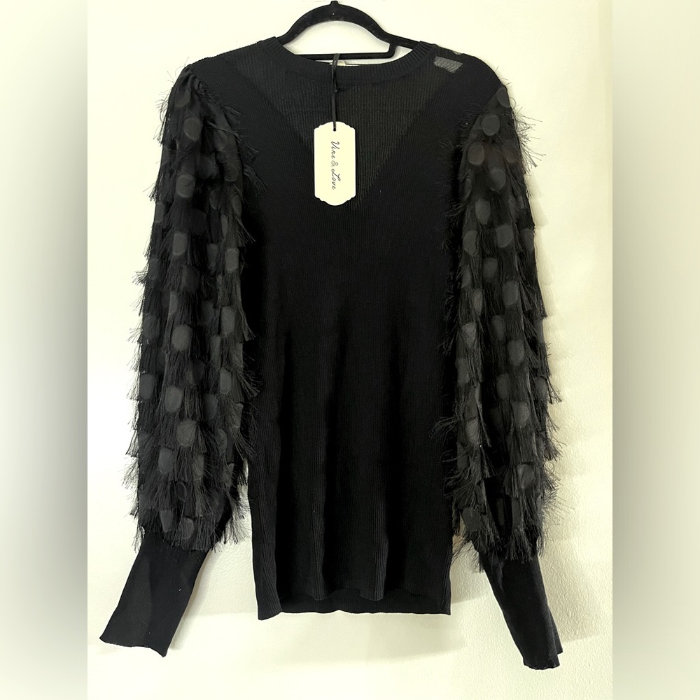 Vine & Love Black Sheer Frill Fringe Polka Dot Lantern Sleeve Ribbed Top Blouse